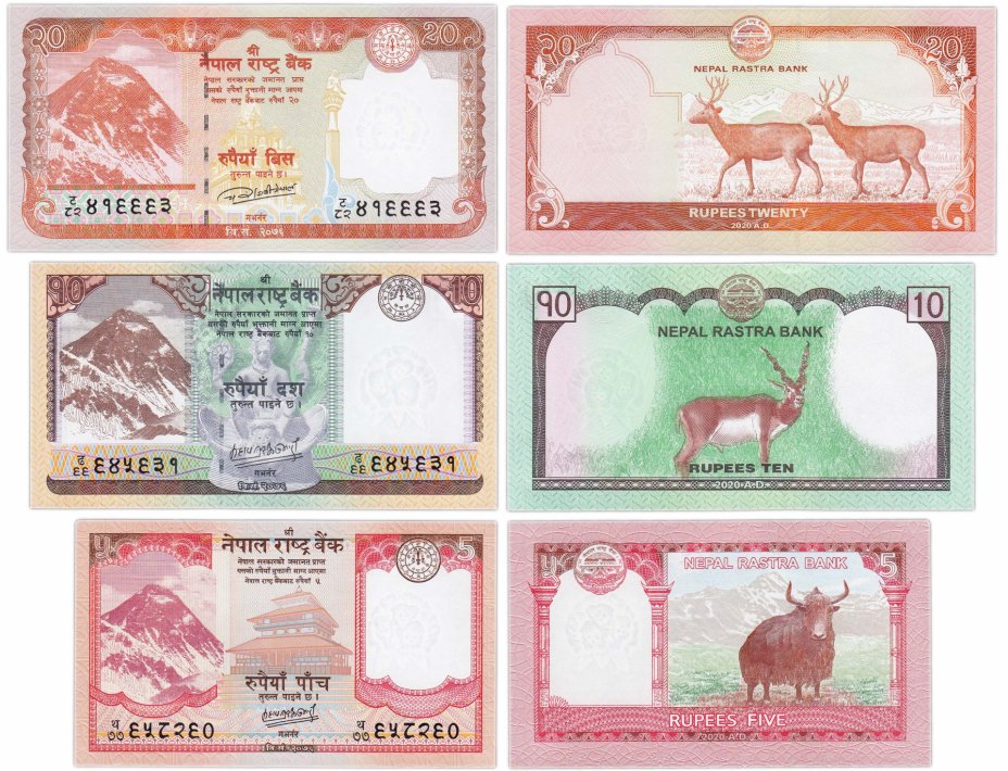 купить Непал - набор банкнот (3 банкноты) 5, 10, 20 рупий 2020
