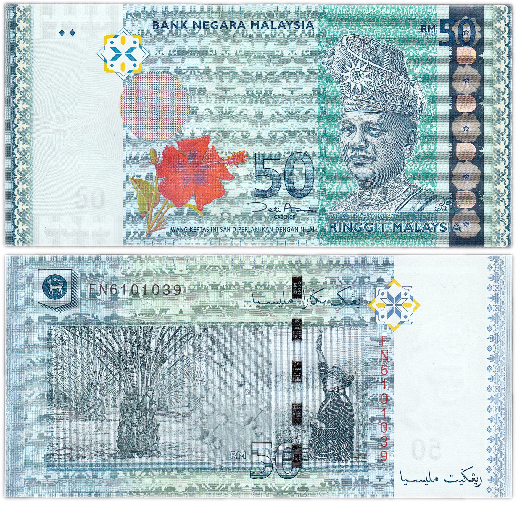 Ринггит малайзия. 50 Ринггитов Малайзии. Малазийские банкноты. Купюры Малайзии.