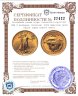 Купить США 5 долларов (dollars) 2023 American Gold Eagle (орёл нового типа)