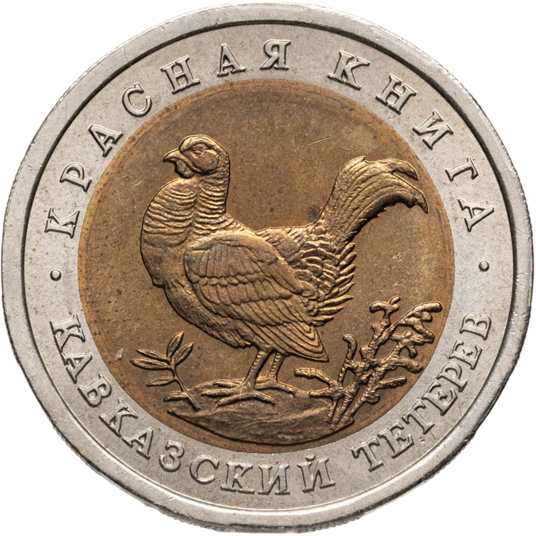Монета 50 рублей 1993 ЛМД кавказский тетерев стоимостью 2620 руб.