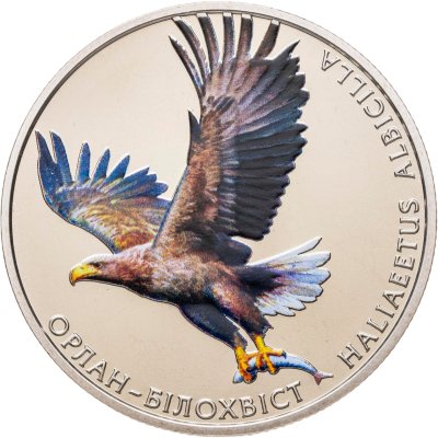 купить Украина 2 гривны 2019 "Орлан-белохвост" в блистере