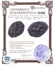 Купить Великое Княжество Тверское. Михаил Борисович 1461-1485 гг. Зверь. ГП2 7250