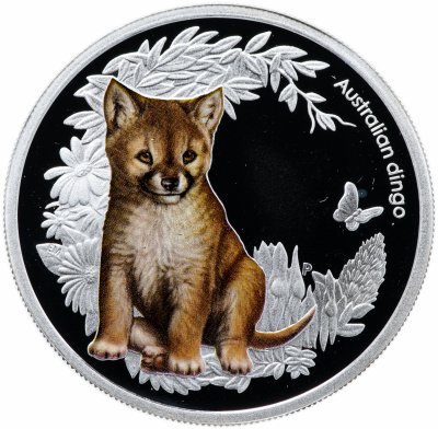 купить Австралия 50 центов (cents) 2011 "Детеныш собаки динго"