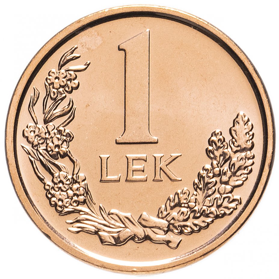 Монета Албания 1 лек 2013 
