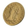 Купить Франция 2 дьёра, двойной луидор (2 louis d'Or) 1786 с портретом Короля Людовика XVI знак монетного двора N - Монпелье