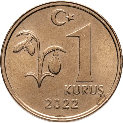 купить Турция 1 куруш 2022