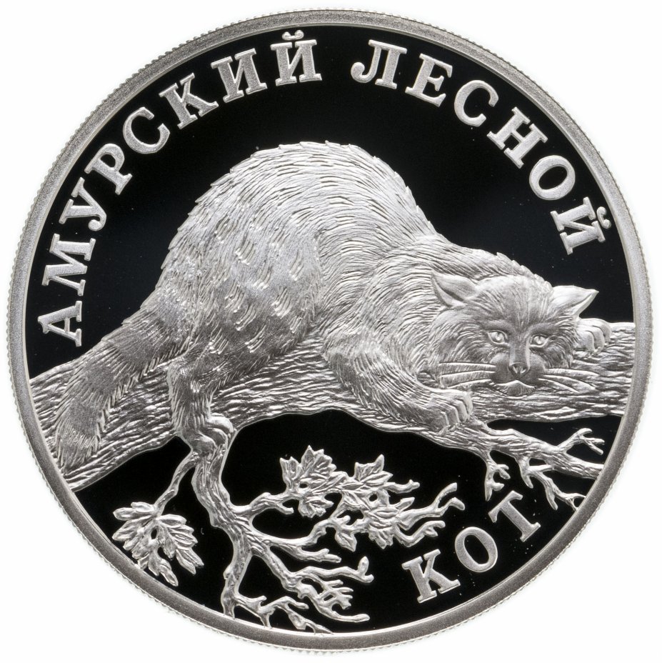 1 руб 2004. 1 Рубль 2004 СПМД. Пруф (Нумизматика). Кот с монетами. Монета с котами.