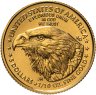 Купить США 5 долларов (dollars) 2023 American Gold Eagle (орёл нового типа)