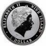 Купить Ниуэ 1 доллар 2007 "Китайский гороскоп - Год Свиньи"