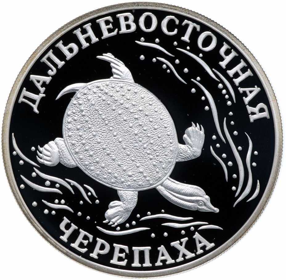 купить 1 рубль 2003 СПМД  "Красная книга: дальневосточная черепаха"