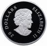 Купить Канада 20 долларов 2011 "Снежинка топаз", в коробке с сертификатом
