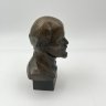 Купить Бюст "В.И. Ленин", силумин, бронзирование, литье, СССР, 1970-1990 гг.