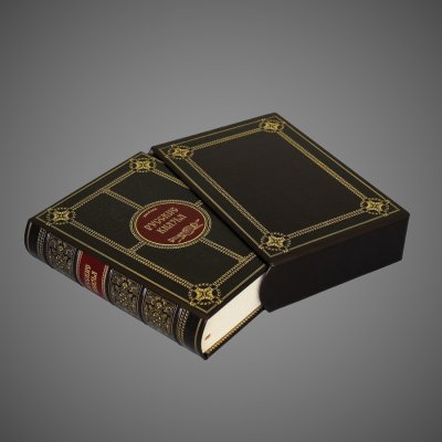 купить Русские князья, кожа (натуральная) с кожаной вставкой, бумага; тиснение (блинтовое и золотое), торшонированный обрез с золотым тиснением; ляссе, 2019 г.