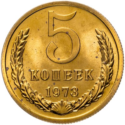 Купить 5 копеек 1973  штемпельный блеск
