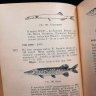 Купить Борисов П.Г. Овсянников Н.С. "Определитель промысловых рыб СССР", бумага, печать, коленкор, тиснение, Издательство «Пищевая промышленность» (Пищепромиздат), СССР, 1954 г.
