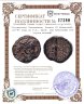 Купить Государство Селевкидов, Антиох IX Кизикский, 116-95 годы до Р.Х., АЕ19. сын Клеопатры Тея (пучок молний)