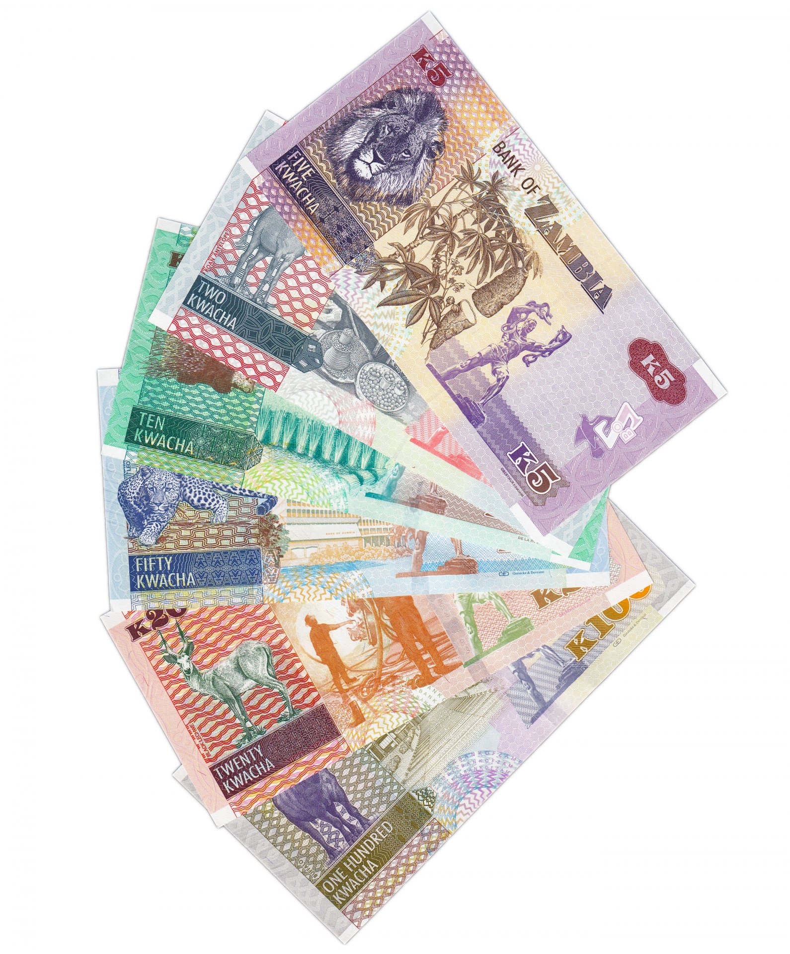 Набор купюр. Набор банкнот. Коллекция банкнот. Купюры Замбии. Набор денежных знаков.