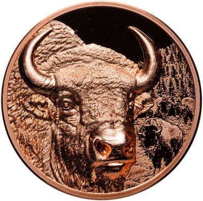 купить Монголия 250 тугриков 2025 Proof "Мистический бизон" с сертификатом