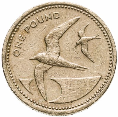 купить Острова Святой Елены и Вознесения 1 фунт (pound) 1984