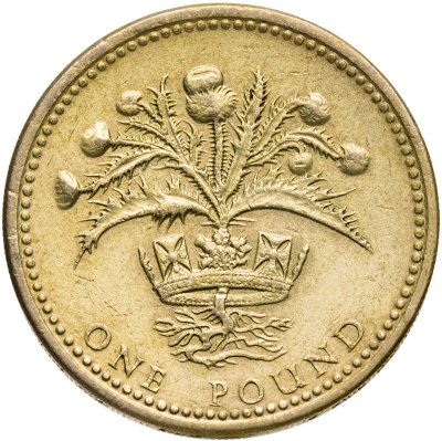 купить Великобритания 1 фунт 1989 "Репейник в короне"