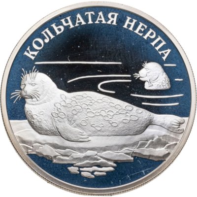 купить 1 рубль 2007 СПМД кольчатая нерпа (ладожский подвид)