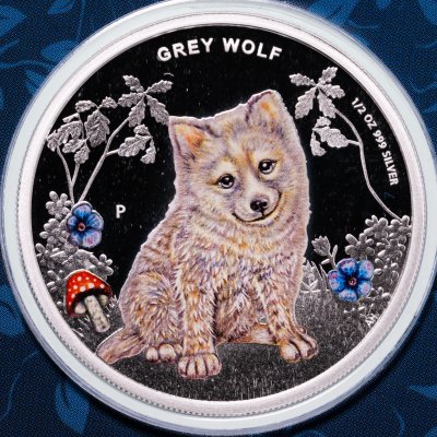 купить Тувалу 50 центов 2013 Proof «Лесные детки - серый волк. Волчонок»