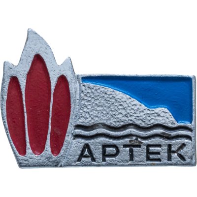 купить Значок Пионерский лагерь Артек (Разновидность случайная )