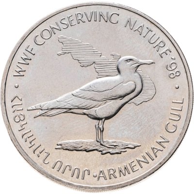 купить Армения 100 драмов 1998 "Сохранение природы WWF '98 - Армянская чайка"