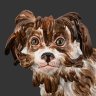 Купить Статуэтка "Болонка", модель №2880, автор модели - Иоганн Иоахим Кендлер (Johann Joachim Kändler), фарфор, роспись надглазурная, Meissen (Мейсенский фарфор), Германия, 1800-1850 гг.