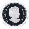Купить Канада 20 долларов 2010 "Жемчужина жизни - Капля дождя на листе клена", в футляре с сертификатом