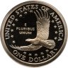 Купить США  1 dollar (доллар) 2002 S Proof "Sacagawea dollar (Сакагавея доллар) парящий орёл", знак монетного двора "S" - Сан-Франциско США