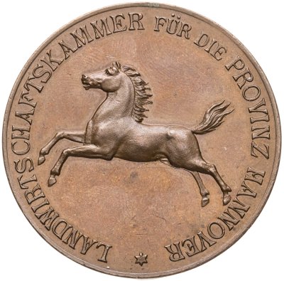 купить Германия медаль "За выдающиеся достижения в сельском хозяйстве Ганновер" 1920-1930