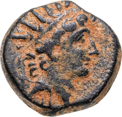 купить Государство Селевкидов, Антиох VIII Грипп, 121/0-97/6 годы до Р.Х., АЕ18.