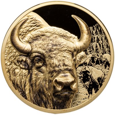 купить Монголия 25000 тугриков 2025 "Мистический Зубр Бизон", в футляре с сертификатом