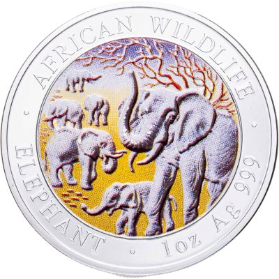 купить Сомали 100 шиллингов 2008 "Слоны" цветная, частная модификация подлинной монеты