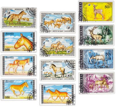 купить Монголия марки набор из 12 штук "Флора и Фауна. Олени. Лошади"