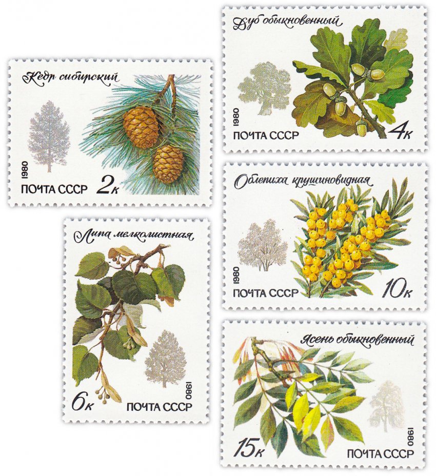 купить Полная серия 1980 "Охраняемые породы деревьев и кустарников" (5 марок)