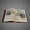 Купить Путь Конфуция, кожа (натуральная, цельная); рельефная фактура, тиснение, цветная художественная композиция, декоративный картуш, металлические защитные уголки, ручная работа, 2012 г.