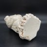 Купить Нэцкэ "Шоусин с посохом и персиком", гипс, лак, Китай, 2000-2010 гг.