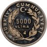 Купить Турция 5000 лир (lira) 1991  Год Любви - Юнус Эмре
