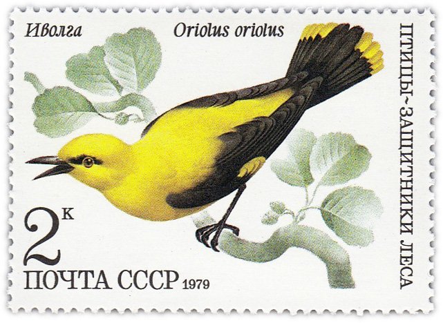 купить 2 копейки 1979 "Птицы - защитники леса: Иволга"