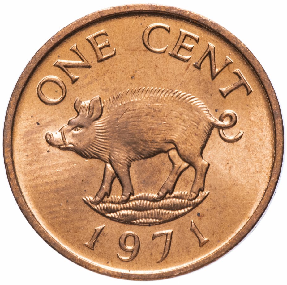 купить Бермуды 1 цент (cent) 1971