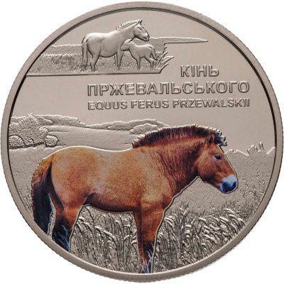 купить Украина 5 гривен 2021 Конь Лошадь Пржевальского