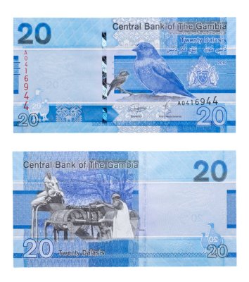 купить Гамбия 20 даласис 2019 Птицы