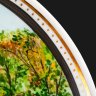 Купить Настенная тарелка "Осень", художник Мтюр, изображен Каменный мост через Виттоловский канал на Сиреневой аллее, Александровский парк, г. Пушкин, фарфор, роспись, золочение, Ленинградский фарфоровый завод (ЛФЗ), Российская Федерация, 1991-2012 гг.