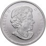 Купить Канада 25 центов (cents) 2012 "50 лет Канадской береговой охране"
