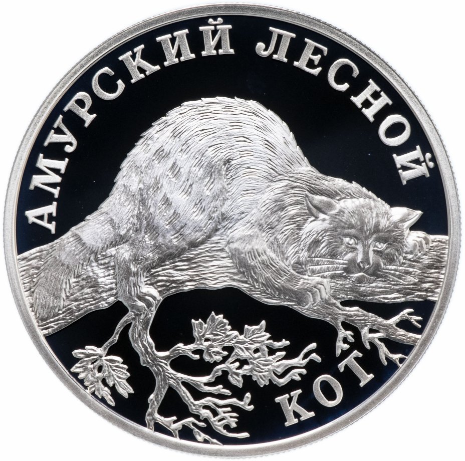 купить 1 рубль 2004 СПМД "Красная книга: амурский лесной кот"
