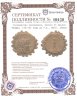 Купить Государство Селевкидов, Антиох VI Дионис Эпифан, 144-142 годы до Р.Х., АЕ18. (Ника)