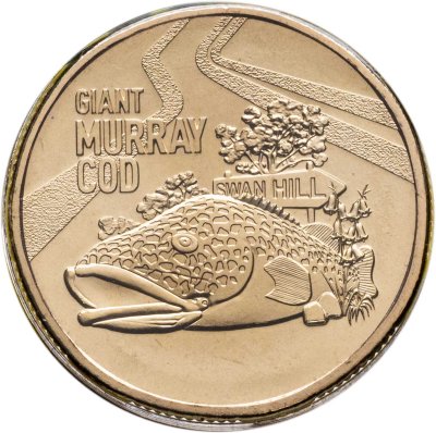 купить Австралия 1 доллар 2023 "Гигантская маккулочелла, Мюррейская треска"
