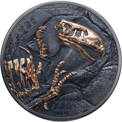 купить Монголия 500 тугриков 2024 "Эволюция - Птицы (aves)" в подарочном боксе с сертификатом